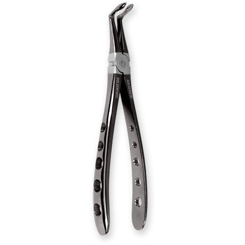 GoldenForce Dental Extraction Instruments - GoldenDent - GoldenDent